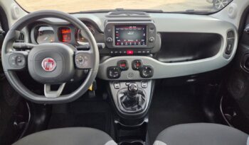 FIAT PANDA 1.0 FireFly S&S Hybrid City Life pieno