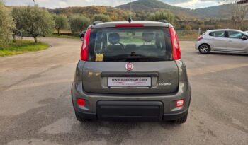 FIAT PANDA 1.0 FireFly S&S Hybrid City Life pieno
