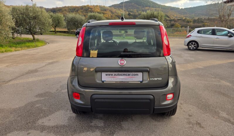 FIAT PANDA 1.0 FireFly S&S Hybrid City Life pieno