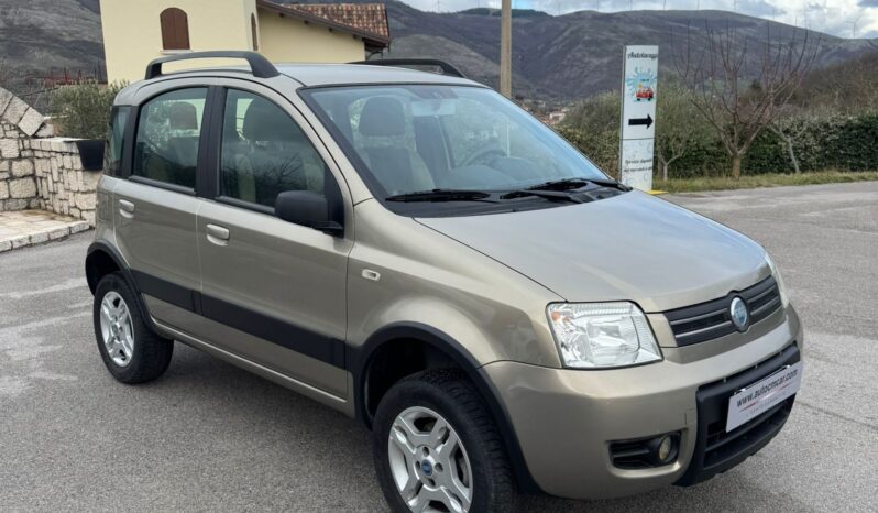FIAT PANDA 4X4 1.3 MJT pieno